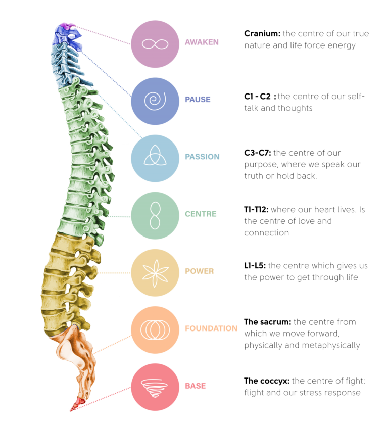 Spinal Flow diagram showing the seven centres of the spine from Cranium to Coccyx: Awaken, Pause, Passion, Centre, Power, Foundation, and Base